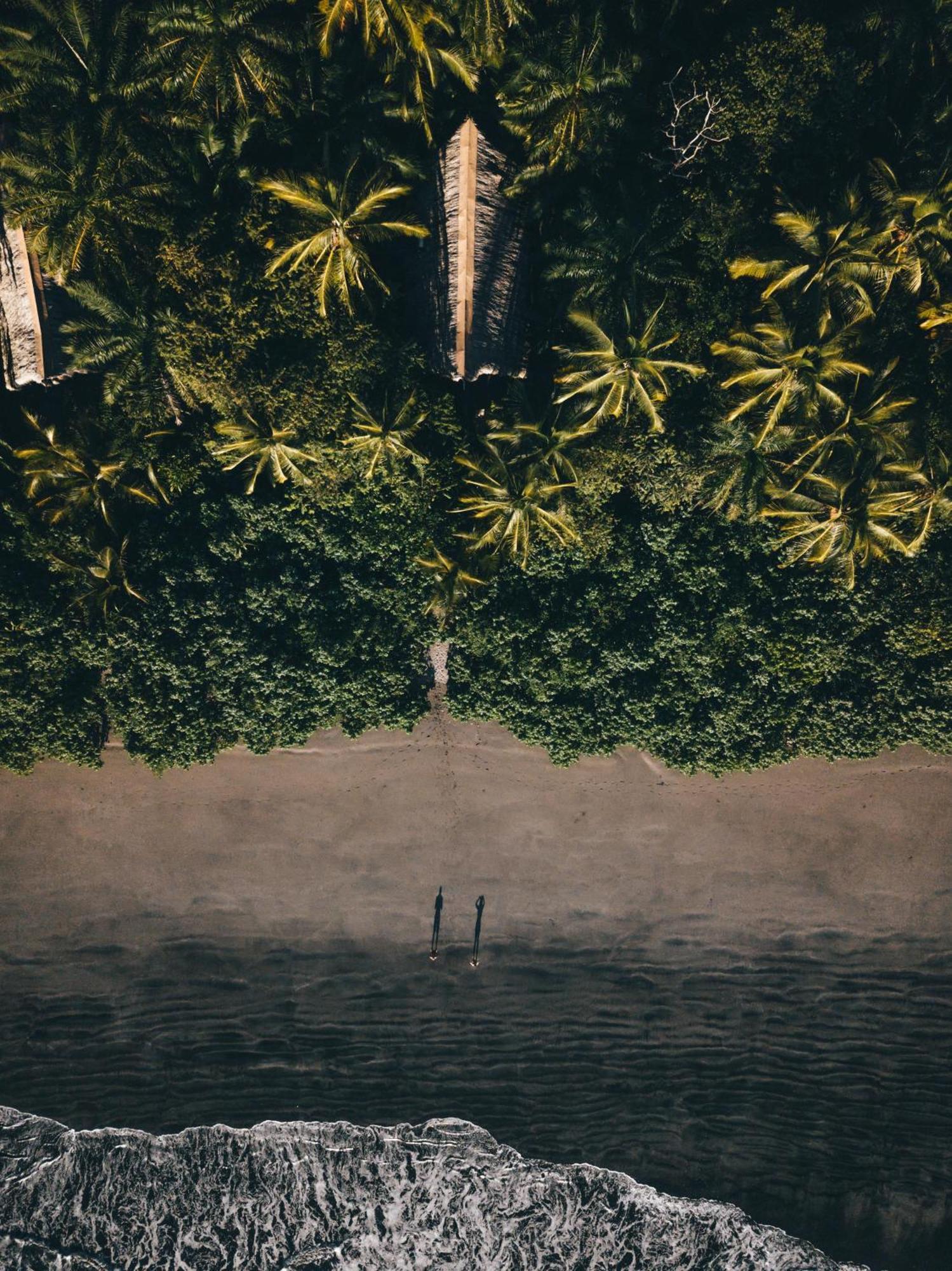 The Resort At Isla Palenque Member Of The Cayuga Collection Бока-Чика Экстерьер фото