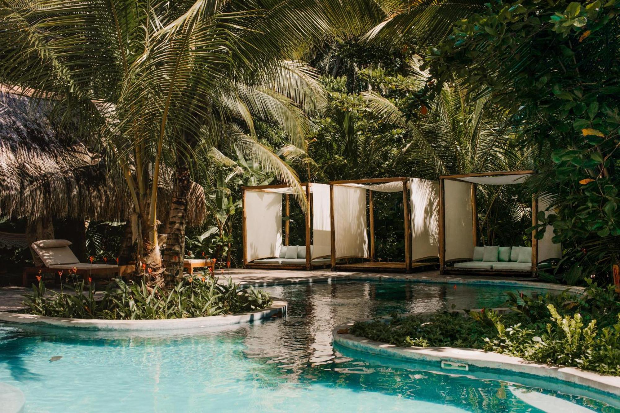 The Resort At Isla Palenque Member Of The Cayuga Collection Бока-Чика Экстерьер фото