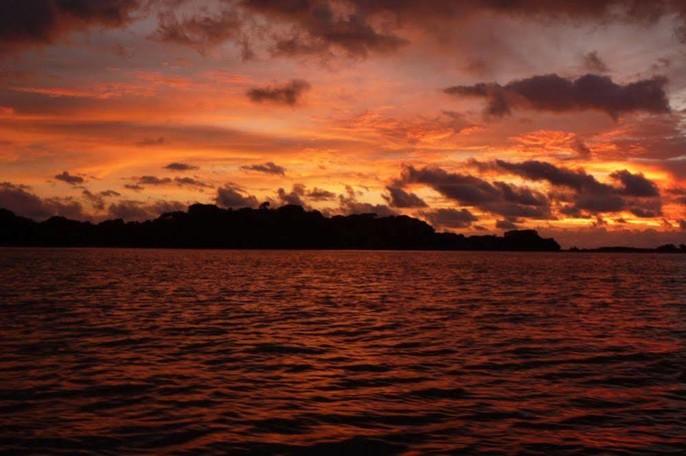The Resort At Isla Palenque Member Of The Cayuga Collection Бока-Чика Экстерьер фото